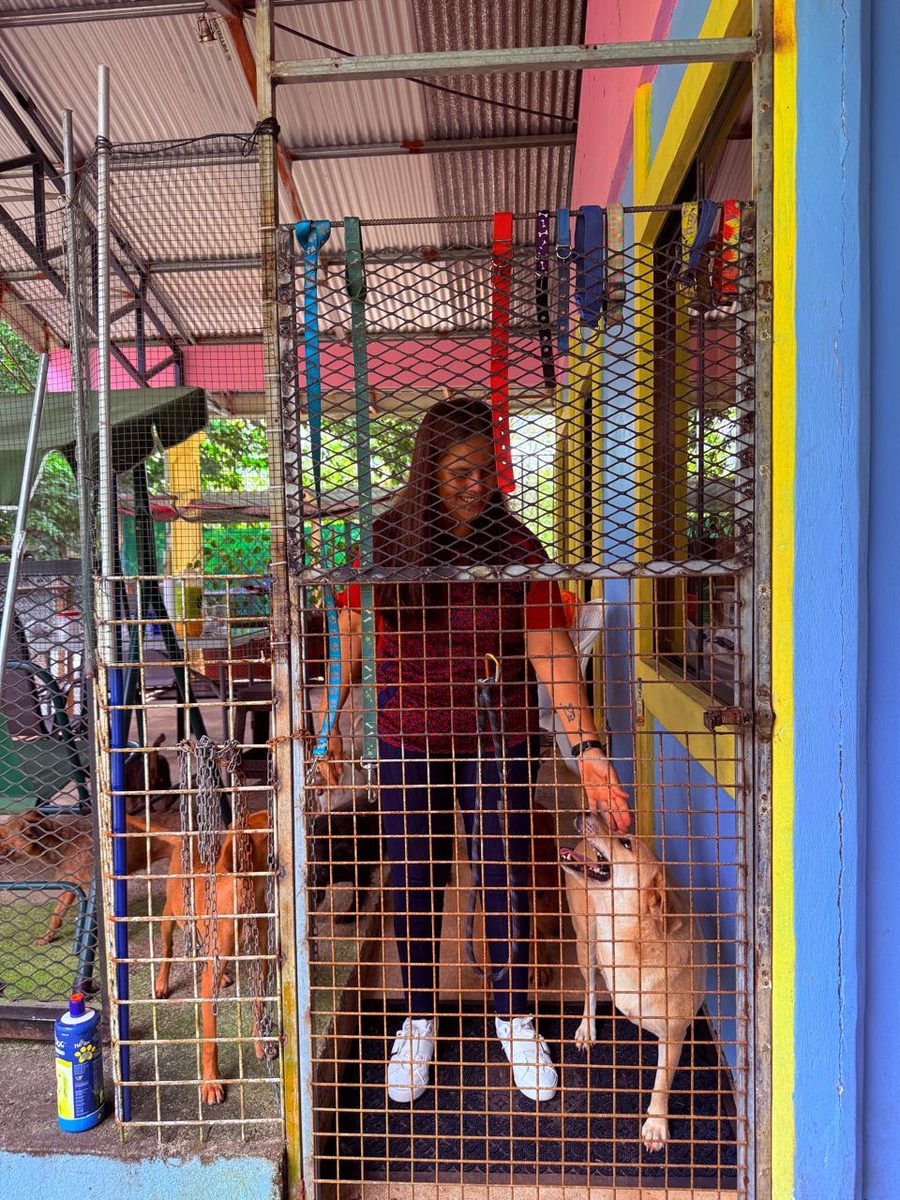 Yamilet with the dogs