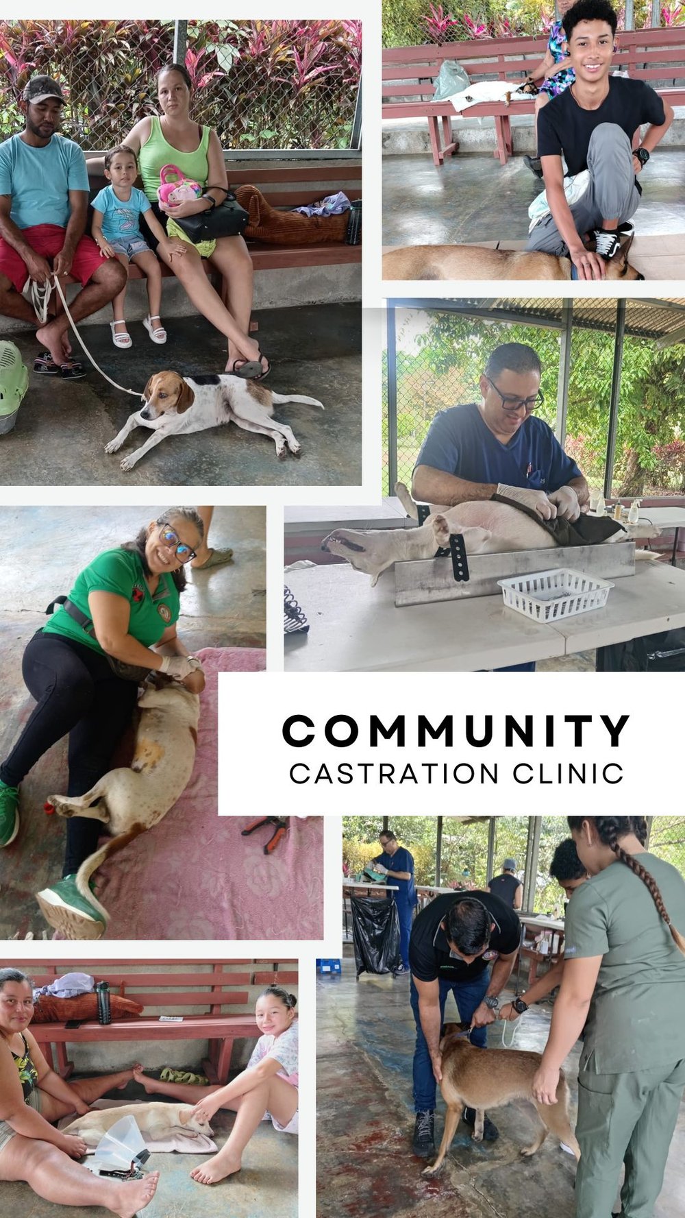 Community Castration Clinic — Osa Rescue