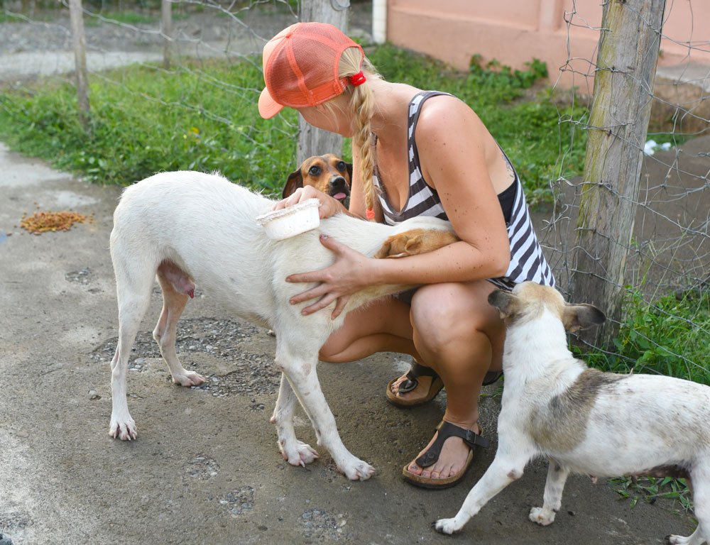 Janina with rescued dogs on the Osa Peninsula