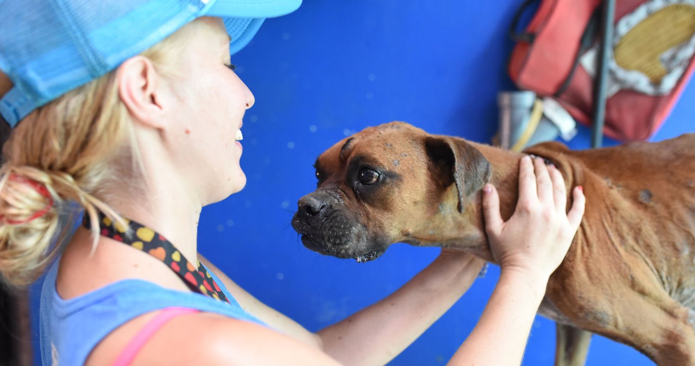 Janina with rescued boxer dog