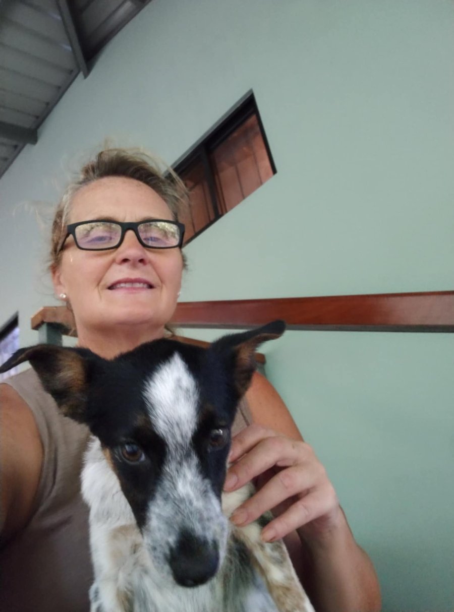Rescued puppies
