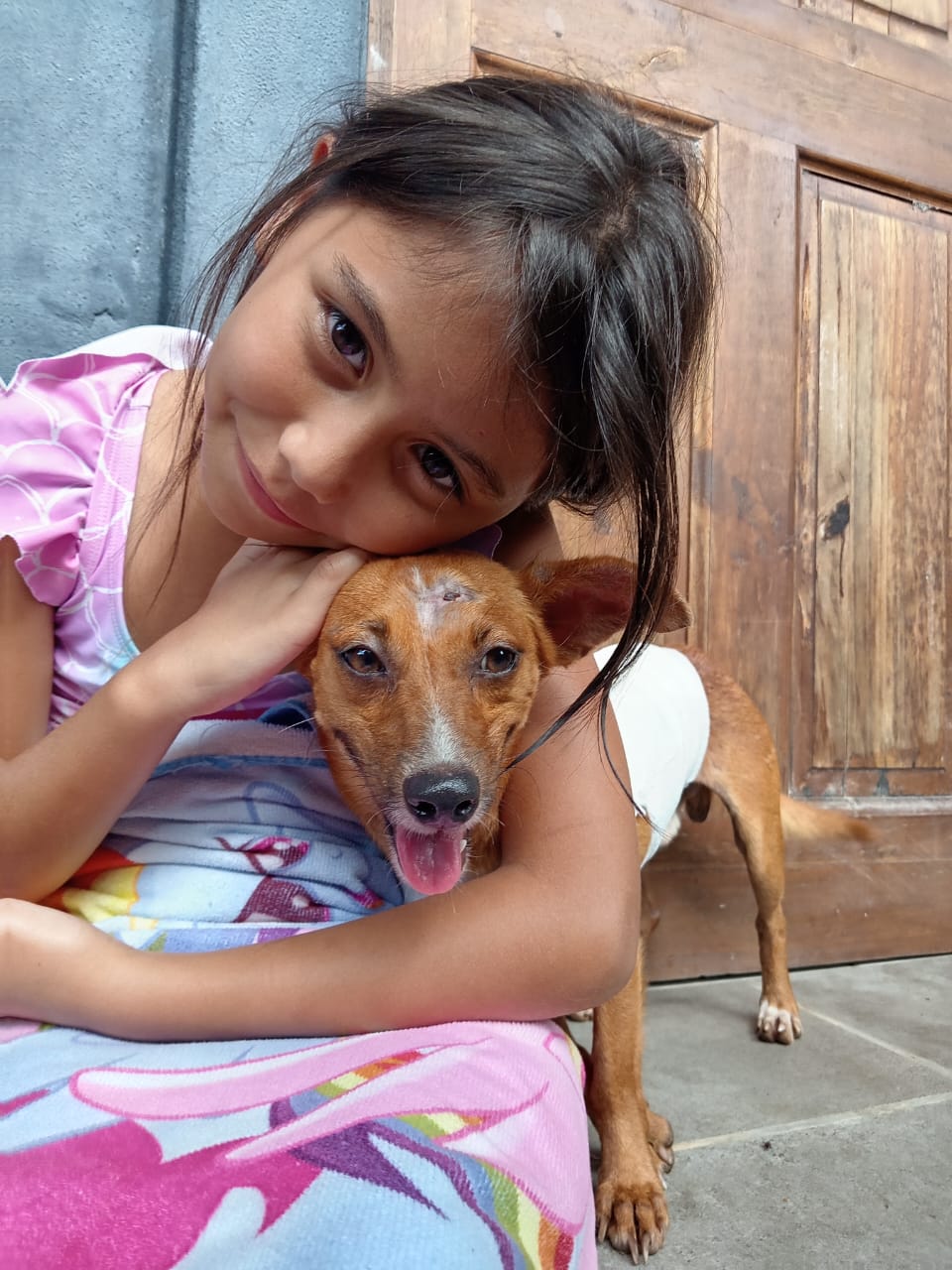 Foster a rescue dog
