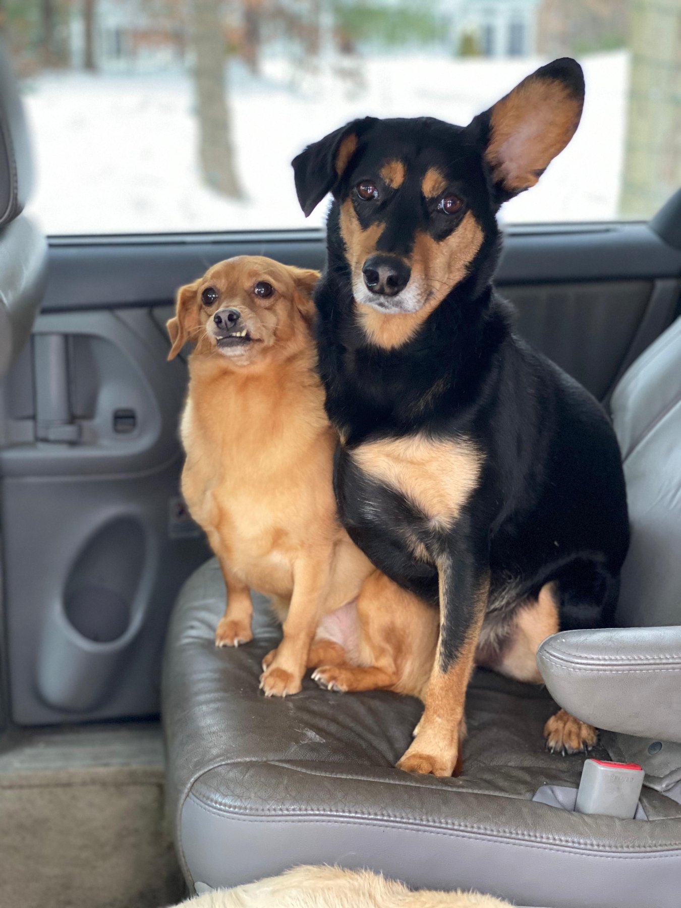 Macha and Tico