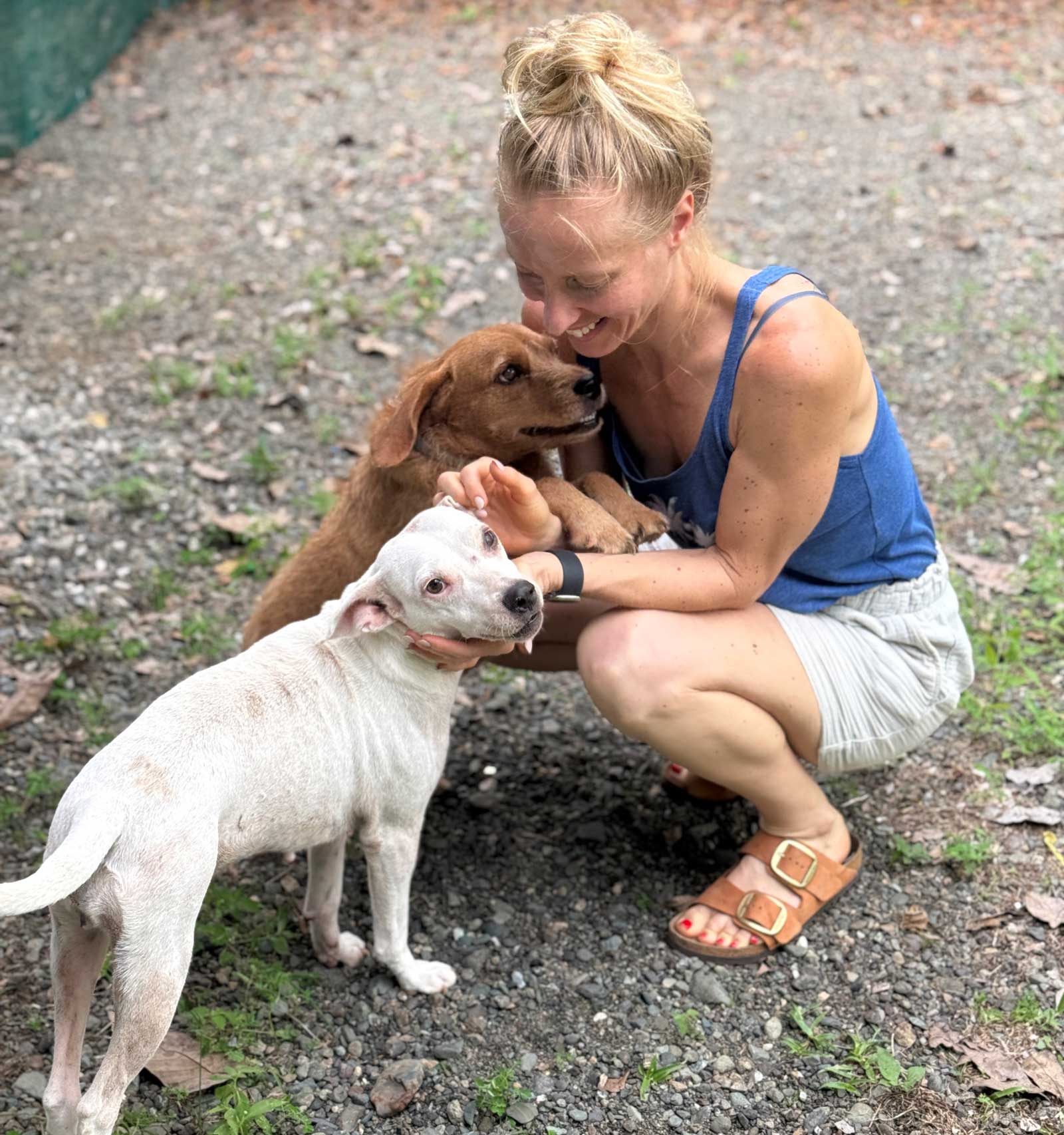 Donate to Osa Rescue
