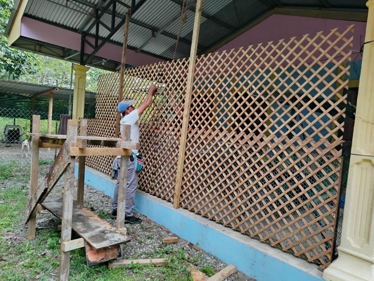 Didier building new fencing